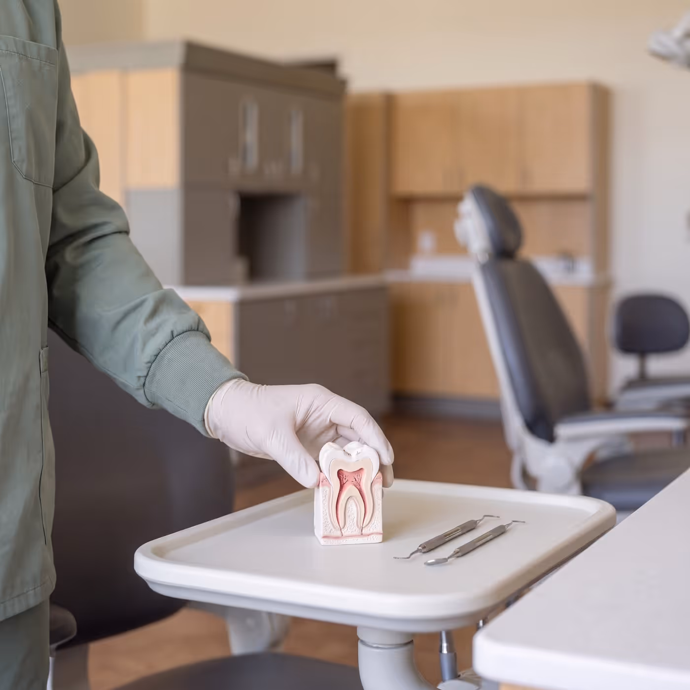 A sectioned model of a molar and instruments laid out chairside